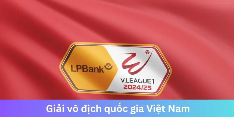 Giải Vleague Việt Nam