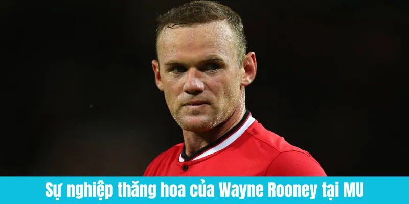 Danh hiệu của Wayne Rooney 